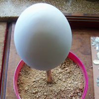 faberge egg in sand