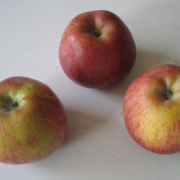 apple-original