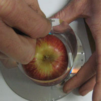 check acetate size