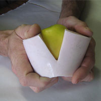 remove original from mould