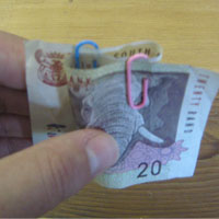 paperclips on money