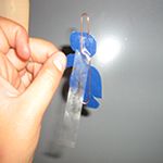 make hoop stick back of fish