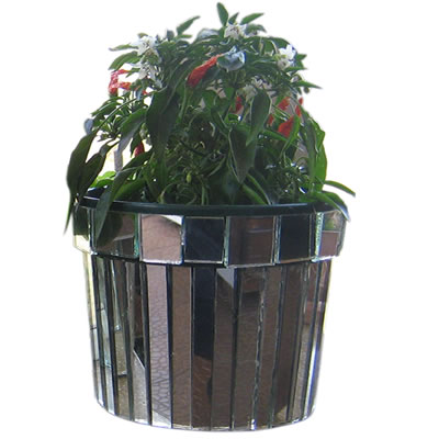 mirror pot