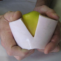 silicone mould