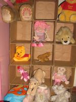 Completed shelf