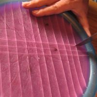 cut cool wax with butter knife