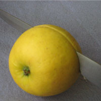 cut apple in half