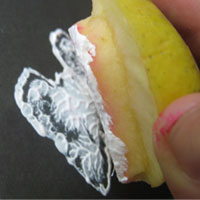 using heart apple stamp