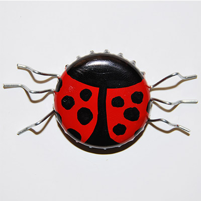 completed lady bug