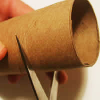 cutting toilet roll