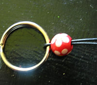 secure key ring