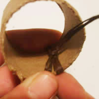 turn the knot inside toilet roll